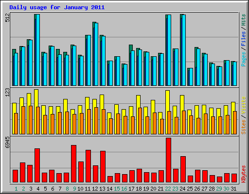 Daily usage for January 2011