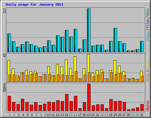 Daily usage for January 2011