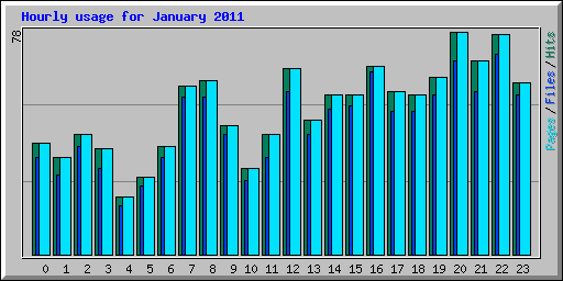 Hourly usage for January 2011
