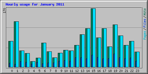 Hourly usage for January 2011