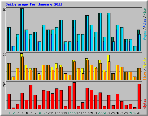 Daily usage for January 2011