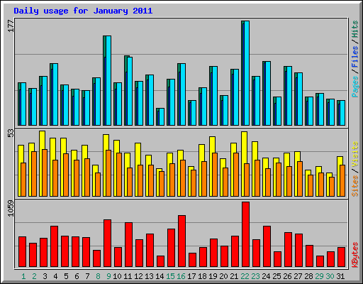Daily usage for January 2011