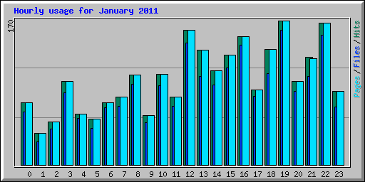 Hourly usage for January 2011