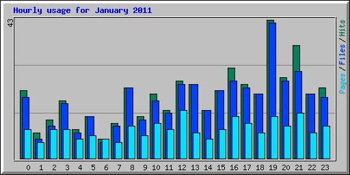 Hourly usage for January 2011