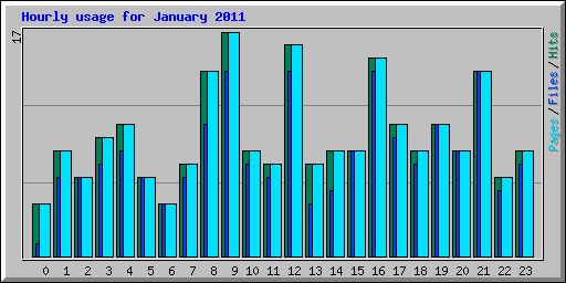 Hourly usage for January 2011