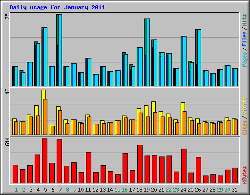 Daily usage for January 2011