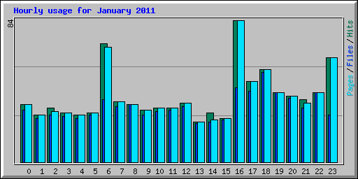 Hourly usage for January 2011