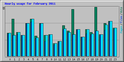 Hourly usage for February 2011