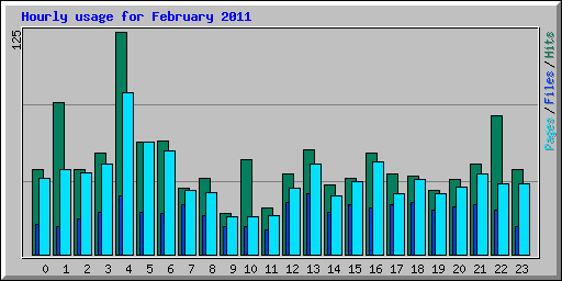 Hourly usage for February 2011