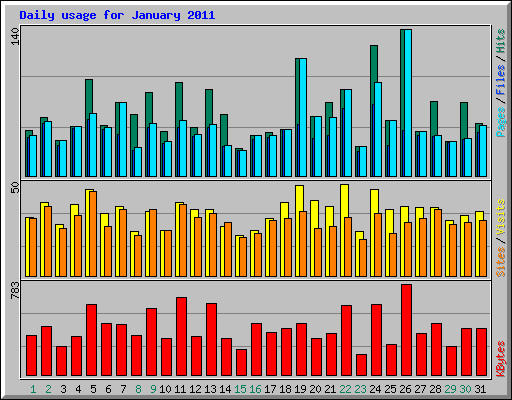 Daily usage for January 2011