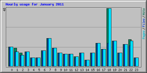 Hourly usage for January 2011