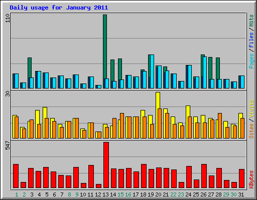 Daily usage for January 2011