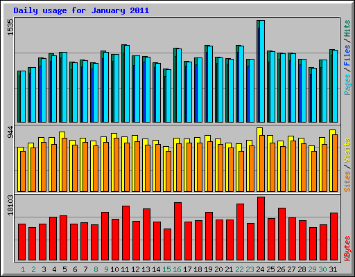 Daily usage for January 2011
