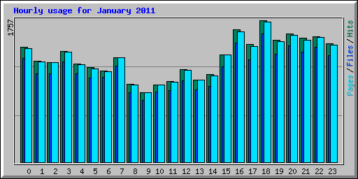 Hourly usage for January 2011