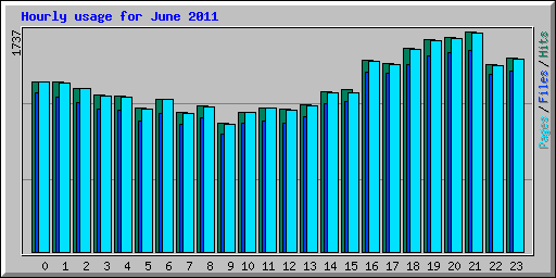 Hourly usage for June 2011