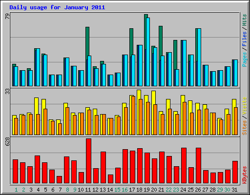Daily usage for January 2011
