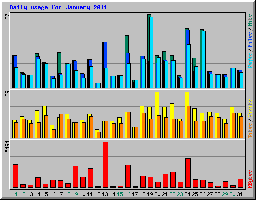 Daily usage for January 2011