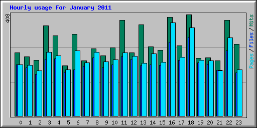 Hourly usage for January 2011