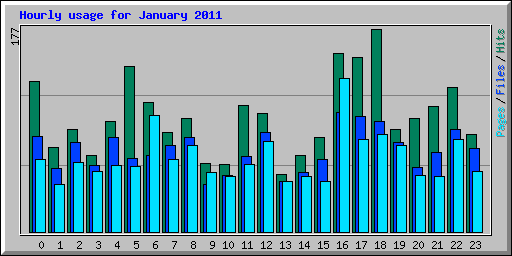 Hourly usage for January 2011