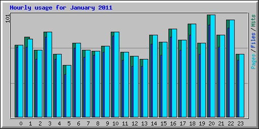 Hourly usage for January 2011