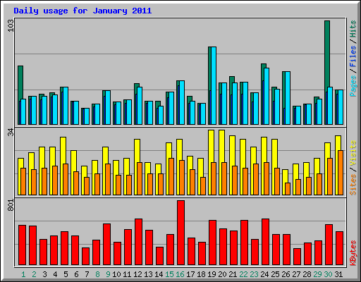 Daily usage for January 2011