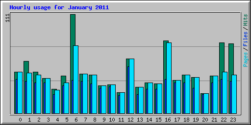 Hourly usage for January 2011