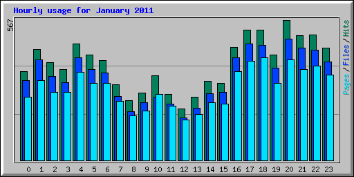 Hourly usage for January 2011