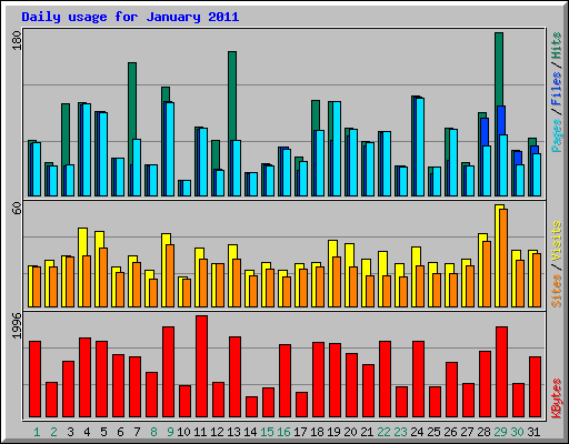 Daily usage for January 2011