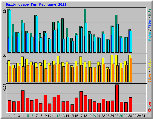 Daily usage for February 2011