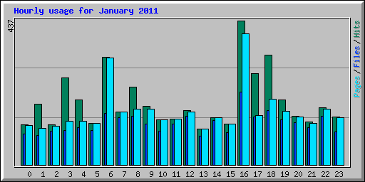 Hourly usage for January 2011