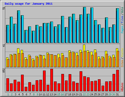 Daily usage for January 2011