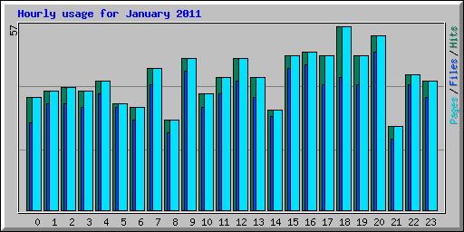 Hourly usage for January 2011