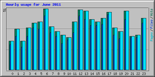 Hourly usage for June 2011