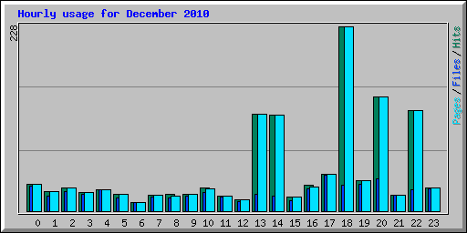 Hourly usage for December 2010