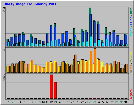Daily usage for January 2011