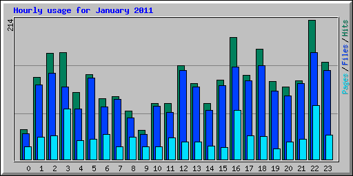 Hourly usage for January 2011