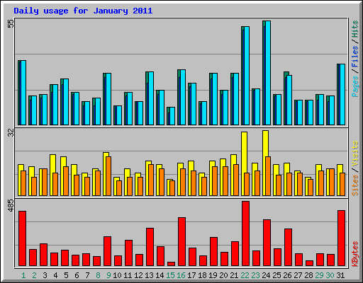 Daily usage for January 2011