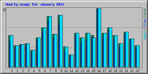 Hourly usage for January 2011