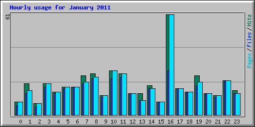 Hourly usage for January 2011