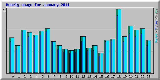 Hourly usage for January 2011