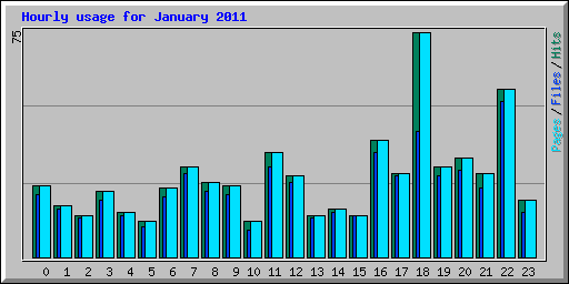 Hourly usage for January 2011