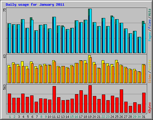 Daily usage for January 2011