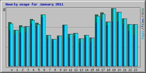 Hourly usage for January 2011