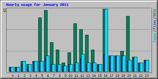 Hourly usage for January 2011