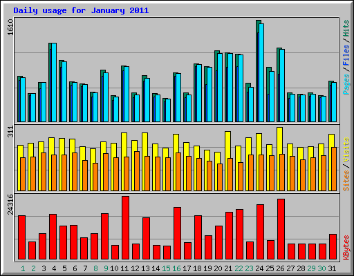 Daily usage for January 2011