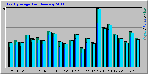 Hourly usage for January 2011