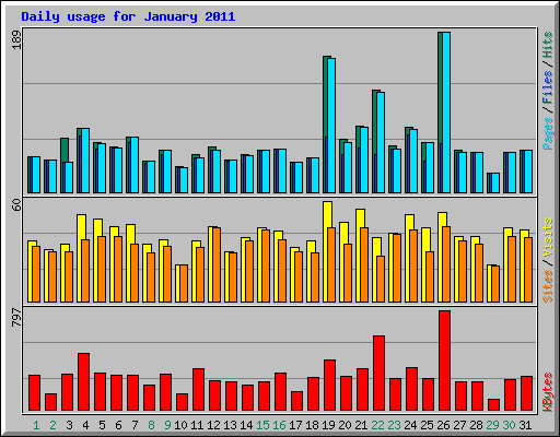 Daily usage for January 2011