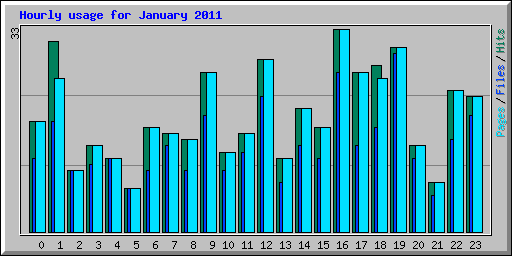 Hourly usage for January 2011