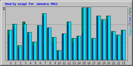 Hourly usage for January 2011