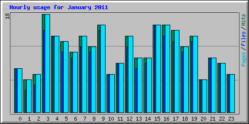 Hourly usage for January 2011